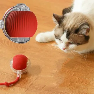Bite-resistant Automatic Teaser Ball Cat Toy Ball High Self . كرة عض أوتوماتيكية مقاومة للعض، كرة لعب للقطط، كرة تسلية