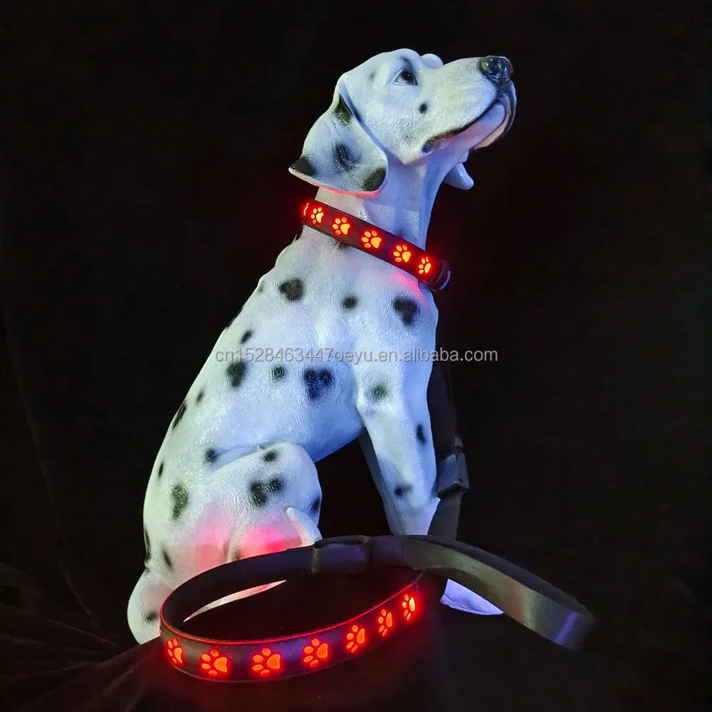 CC SIMON Rechargeable LED Dog Collar - Enhanced Night Safety with Multiple Flash Modes