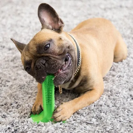 Dog Dental Care Toothbrush