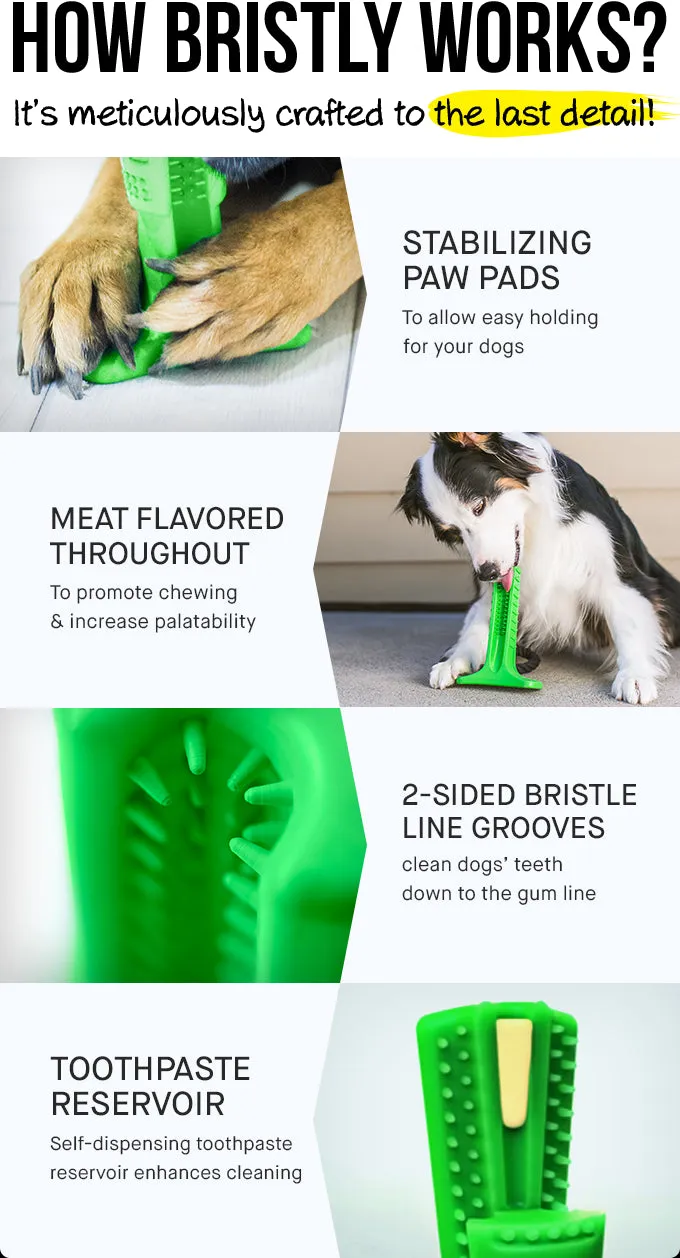 Dog Dental Care Toothbrush