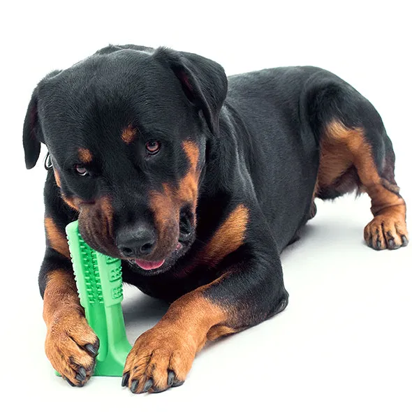 Dog Dental Care Toothbrush