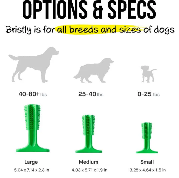 Dog Dental Care Toothbrush
