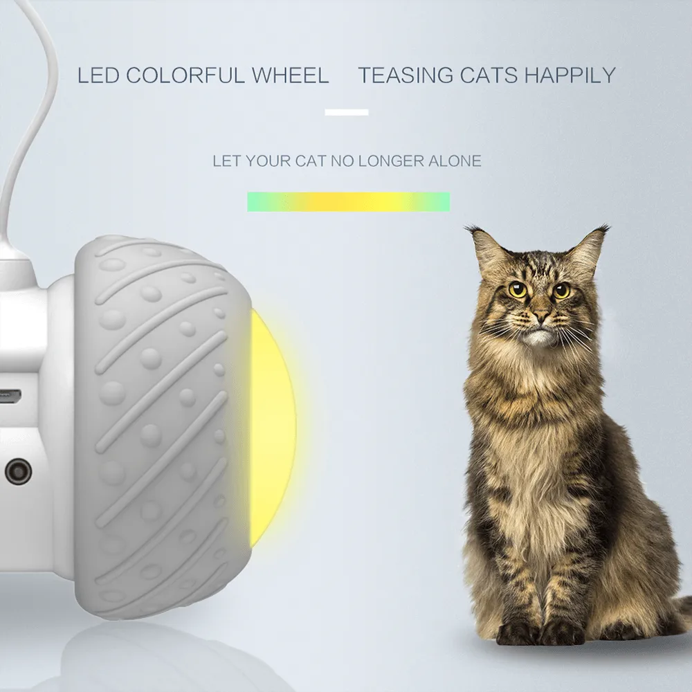 Feather Decorated Interactive Cat Toy