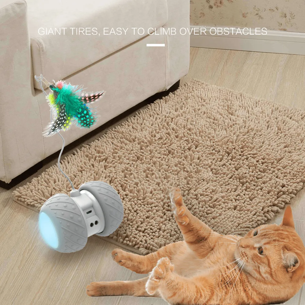 Feather Decorated Interactive Cat Toy