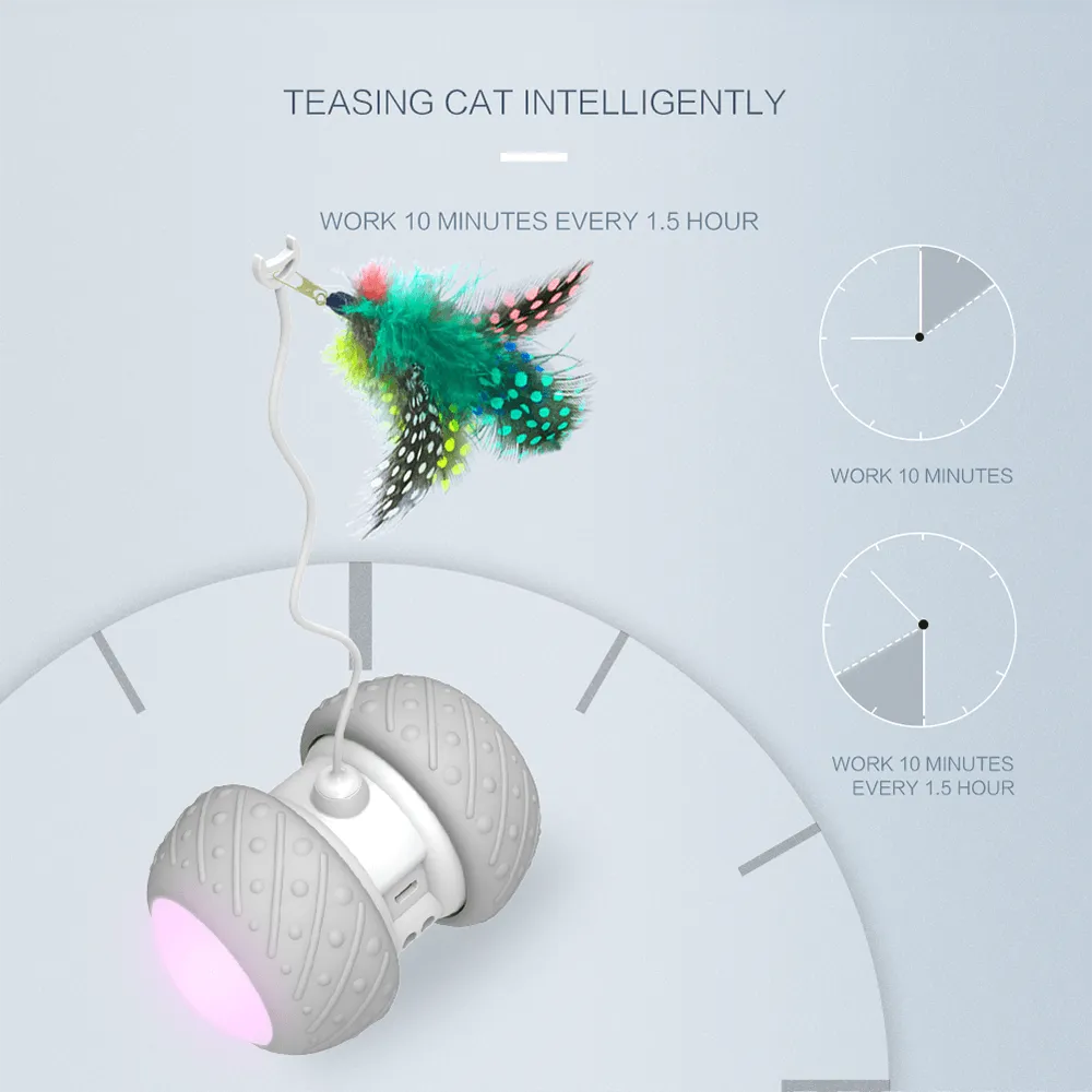 Feather Decorated Interactive Cat Toy