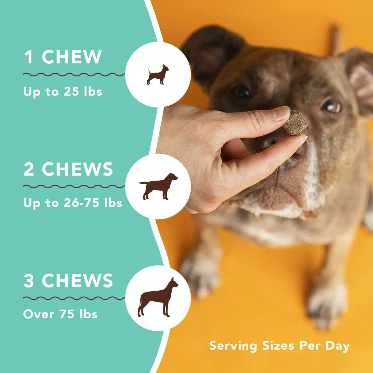 Natural Dog Company Skin & Coat Supplement Chews with Wild Alaskan Salmon Oil, Omega 3 & 6, EPA & DHA, Promotes Healthy Skin and Coat, Salmon & Peas Flavor, 90 Count