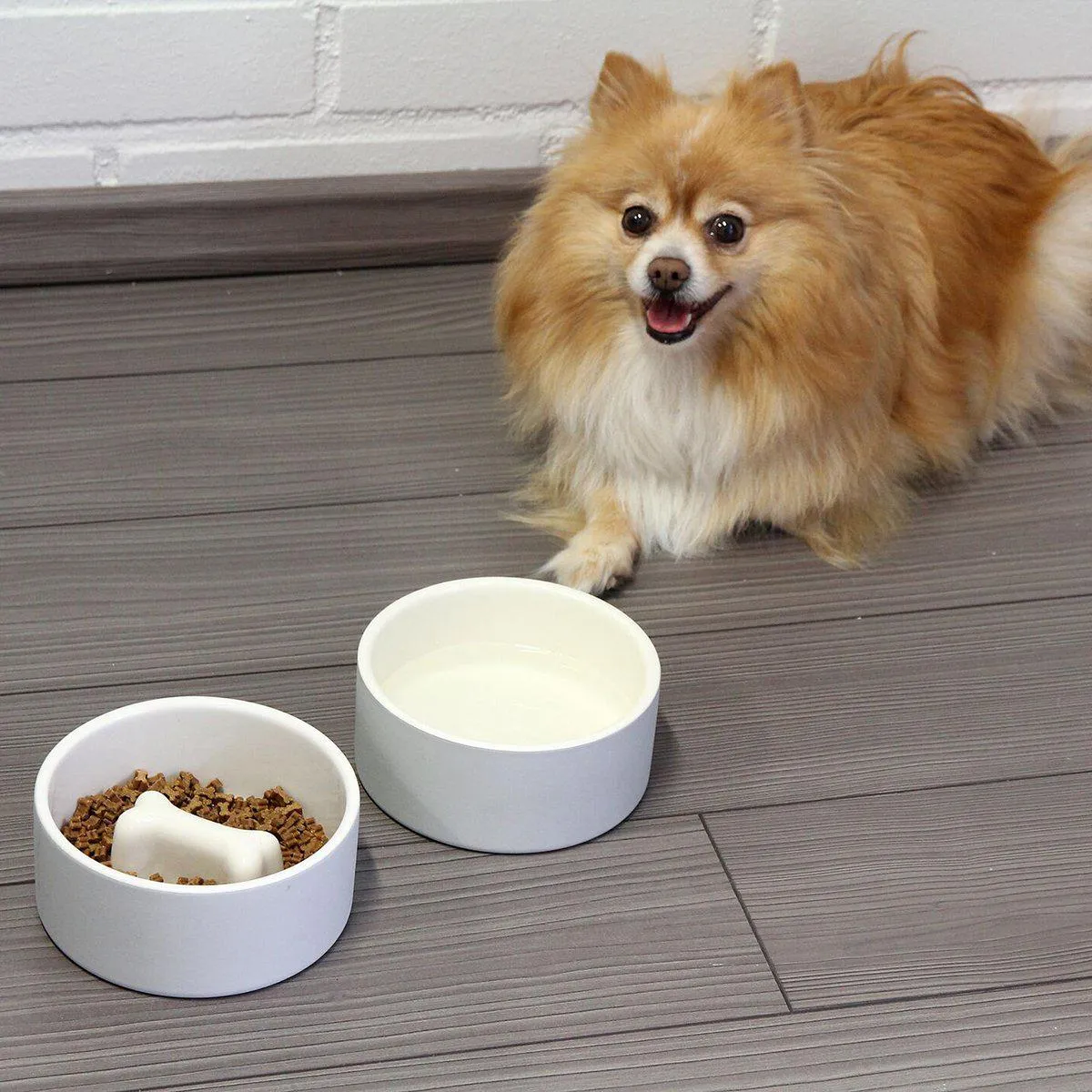 Naturally Cooling Dog Water Bowl Concrete