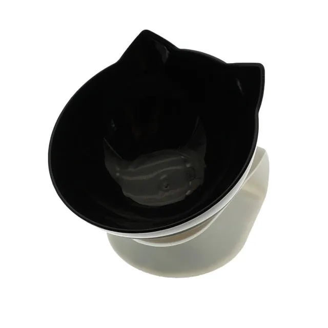 Non-Slip Double Dog Feeding Bowl