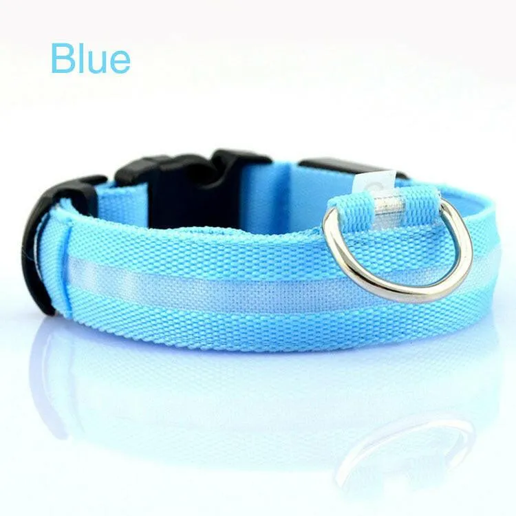 Pet Safety LED Collar
