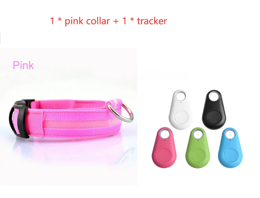 Pet Safety LED Collar