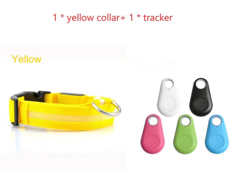 Pet Safety LED Collar