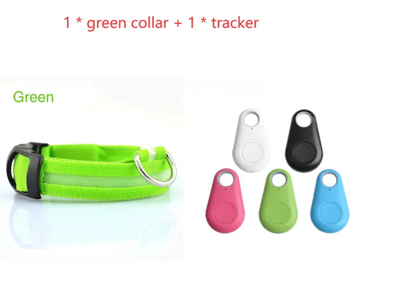 Pet Safety LED Collar