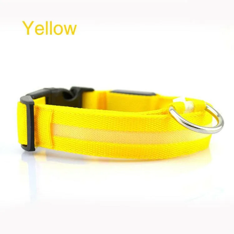 Pet Safety LED Collar