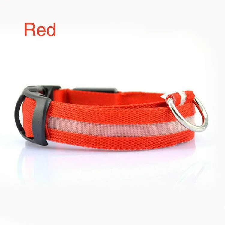 Pet Safety LED Collar