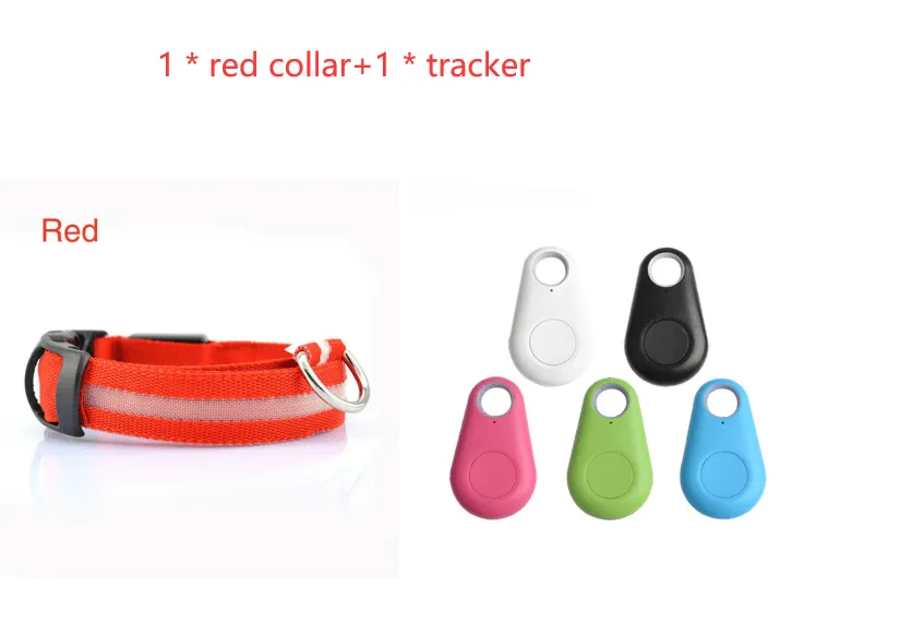 Pet Safety LED Collar