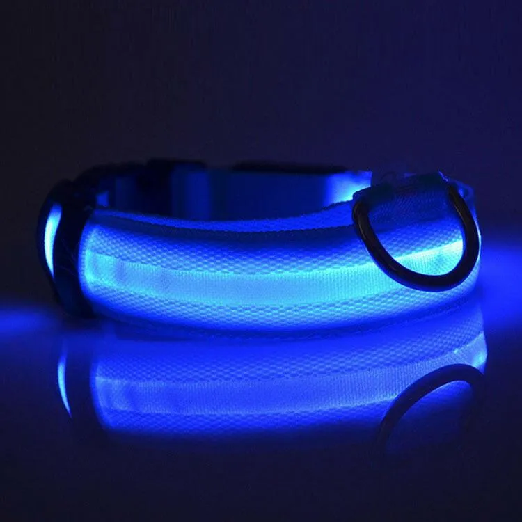 Pet Safety LED Collar