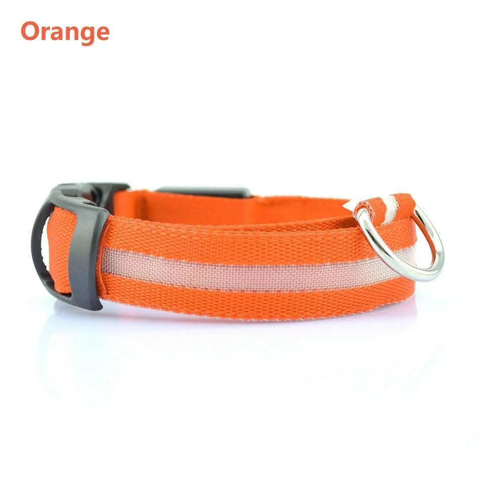 Pet Safety LED Collar