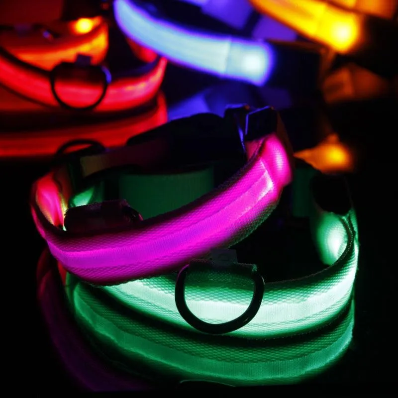 Pet Safety LED Collar