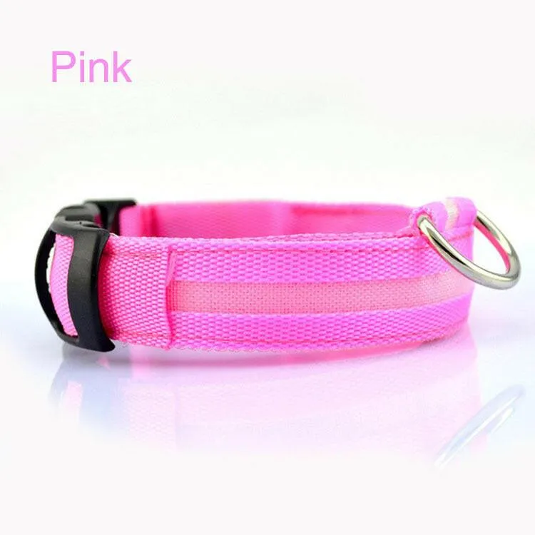 Pet Safety LED Collar