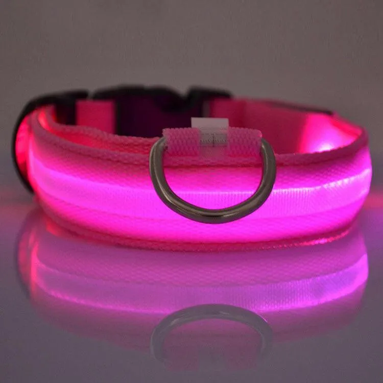 Pet Safety LED Collar