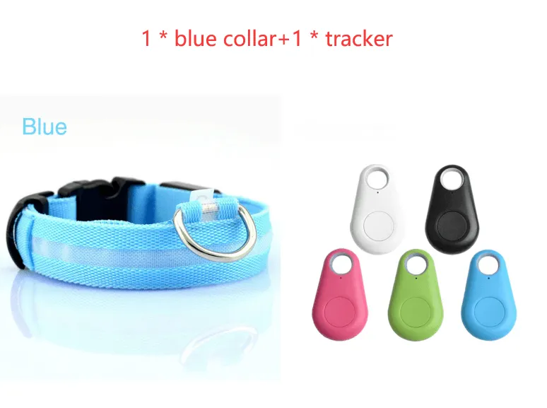 Pet Safety LED Collar
