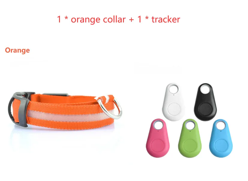 Pet Safety LED Collar