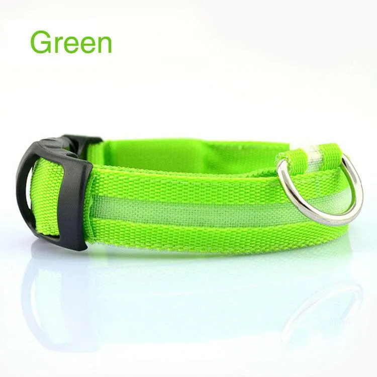 Pet Safety LED Collar