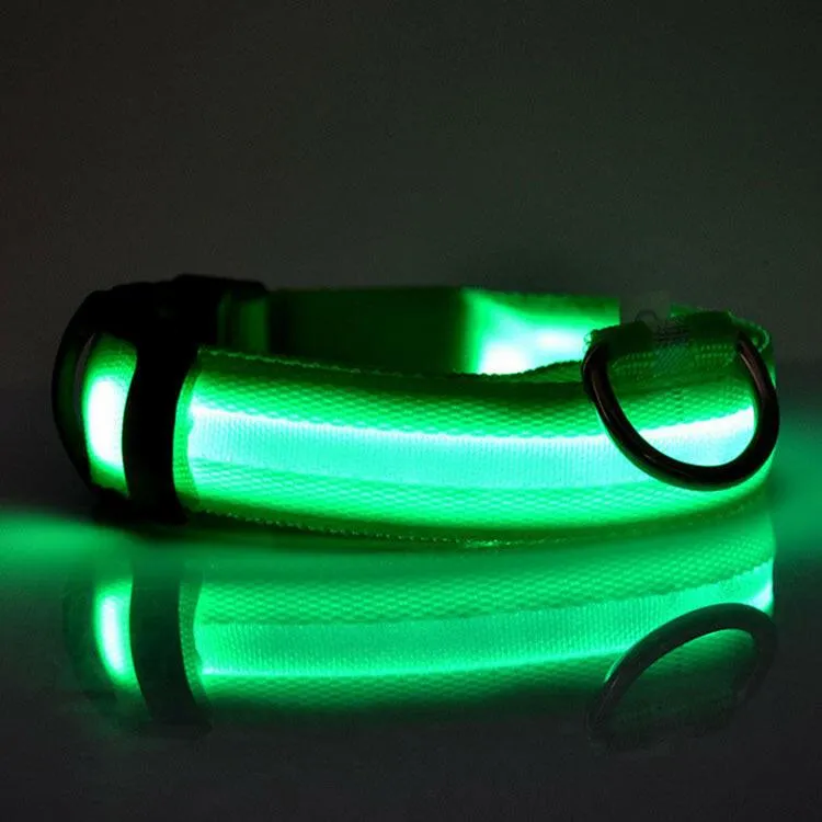 Pet Safety LED Collar