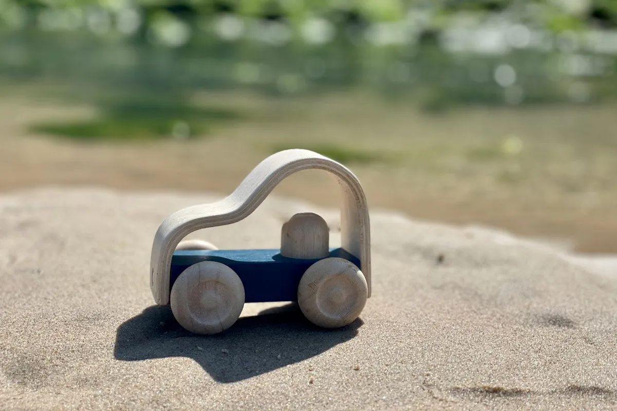 Plan Toys Vroom Truck