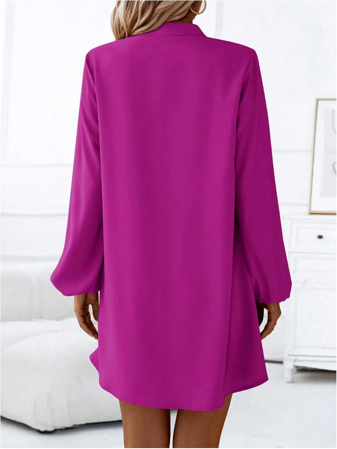 SweatyRocks Women's V Neck Pullover Shirt Dress A Line Long Lantern Sleeve Flared Loose Mini Dresses