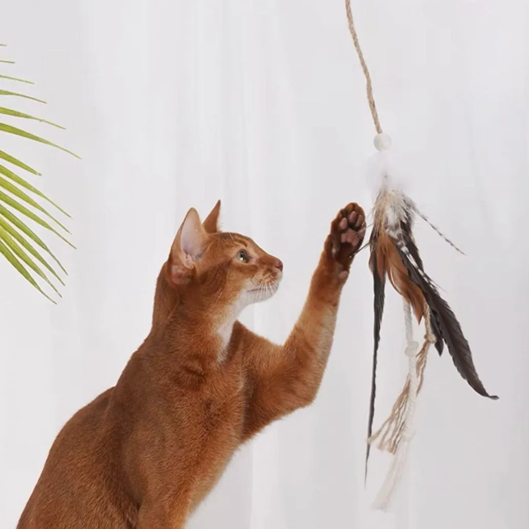 ZEZE Wooden Cat Teaser With Feather